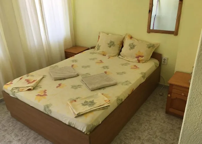 Guest Nia Elis קיטן